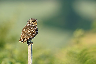 男生把困困：清醒边缘，与疲倦共舞的午夜狂飙-4