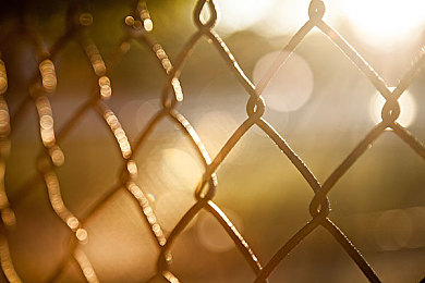 桥本香菜妈妈教育最经典十句话:赛道回响,人生弯道中的家族传承与速度哲学-5