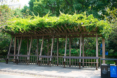 国产午休乱轮:都市职场竞速新游开启抢先体验,午休时间管理博弈引爆策略游戏热潮-4