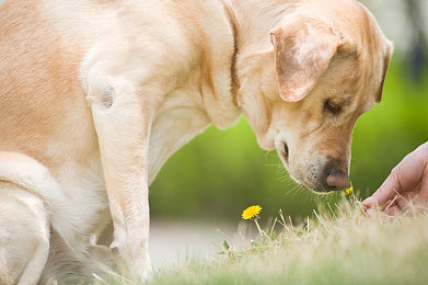 2024免费黄色：光能赛道，智慧竞速，驾驭太阳的极速对决