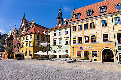 9久：在墨西哥的永恒赛道上，追寻驾驶美学的无尽之旅-5