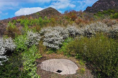 黄软件在线看：飙速骇客，用黑客视角破解街头赛车新玩法-4