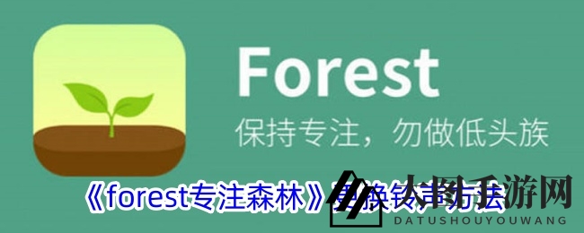 《forest专注森林》全新铃声定制功能上线，个性化森林体验指南来袭