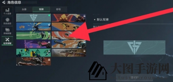 《三角洲行动》个性军牌展示