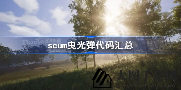 《Scum》神秘代码大揭秘：详尽解析曳光弹攻略，解锁全新游戏技巧