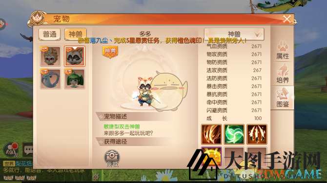 《九州天空城3D》游侠宠物搭配展示