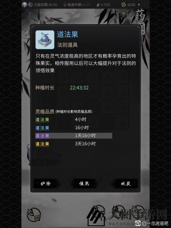 《一念逍遥》道法果收益分析