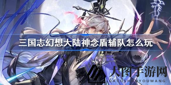 《三国志幻想大陆》新锐魂将亮相，神念盾辅队攻略全解析，揭秘最强阵容攻略
