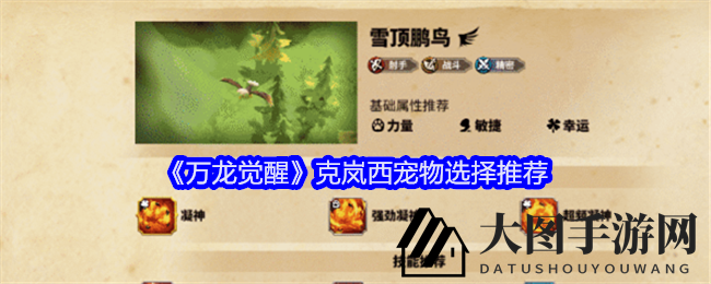 《万龙觉醒》揭秘：射手克岚西，雪顶鹏鸟搭档技能觉醒攻略