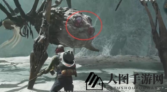 《七日世界》普通厄面蛛母打法攻略