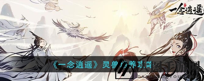 《一念逍遥》灵兽进化秘境：修为飞跃，战力飙升，解锁神秘兽魂石之旅