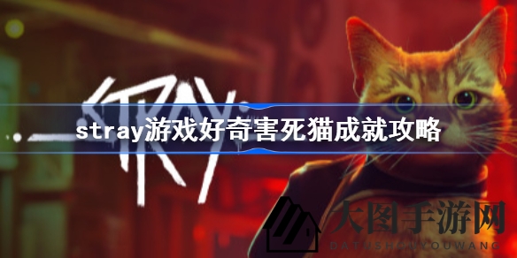 《Stray》猫咪冒险解锁秘籍：纸袋藏匿大揭秘，成就攻略曝光
