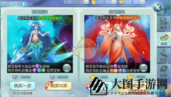 《一剑问情》宠物养成秘籍：五阶品质，潜力无限，探秘招募、强化、放生奥秘