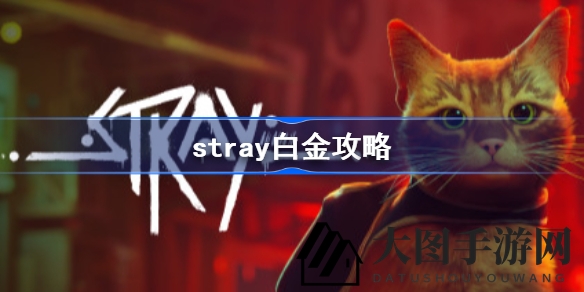 《Stray》猫咪冒险之旅揭秘：白金成就解锁攻略全解析