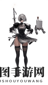 《NIKKE胜利女神》2B角色资料介绍