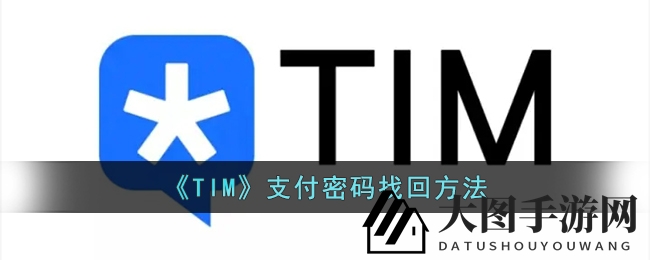 《TIM》支付密码找回攻略，轻松解锁账户，畅玩无忧