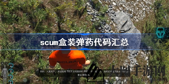《Scum》游戏弹药宝典：解锁各种弹药代码攻略大全