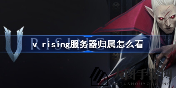 《VRising》吸血鬼生存之旅：官方服务器与私服区别详解，揭秘生存攻略