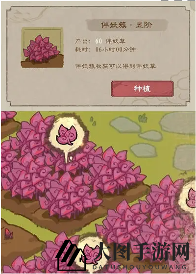 《九重试炼》伴妖草获取途径一览